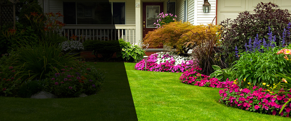 Goodyear Landscapers