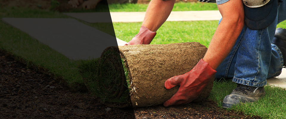 Goodyear Landscapers